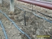 Greenhouses in Govedare village - 2 ha - Drip irrigation and microperfusion